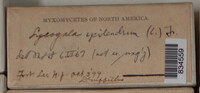 Image Associated With the Occurence